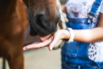 There is a bond between horse and rider