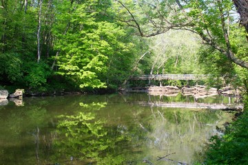 The reflections of the trees and wood bridge off the water.