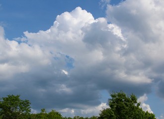 The big white cloud in the sky over the tree tops.