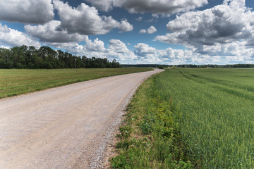 Obraz premium Rural gravel road.