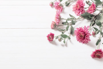 Obraz na płótnie Canvas pink chrysanthemums on white wooden background