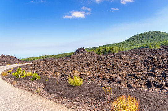  Landscapes of Etna, Sicily ,Italy.