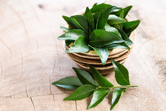 Fresh curry leaves in coconut bowl on wooden background close-up