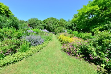 An English country garden in summertime.
