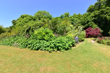 Obraz premium An English country garden in summertime. 