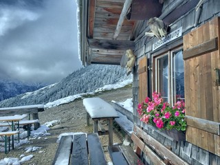 German Winter
