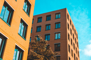 two brick office building with orange brick facade and tree in the middle