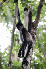 IntFrame Mexico 2018