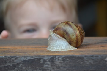 Curiosity of the first meeting