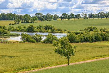 Fototapeta na wymiar Rural landscape view