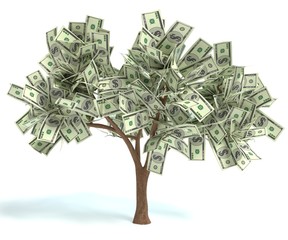 3d illustration of a money tree - 210863040