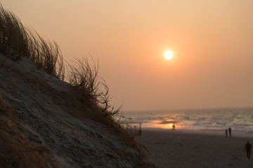Düne am Strand im Sonnenuntergang