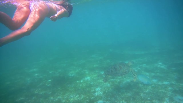 M&auml;dchen mit Schnorchelmaske hinter Schildkr&ouml;te in offenem Meer 2