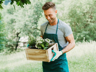Young attractive man carries a wooden box with plants and flowers. He looks them and smiles. He is...