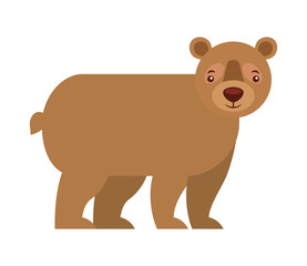 Obraz na płótnie Canvas grizzly bear animal wildlife image