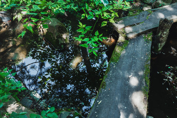 Little wooden bridge over stream in japanese garden
