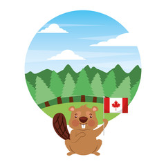 cute beaver holding flag of canada in forest