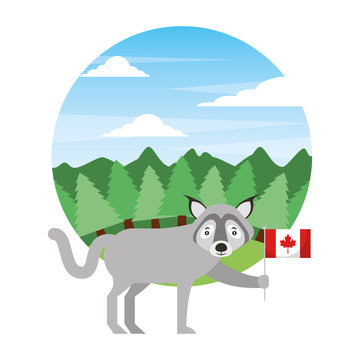 wolf holding canadian flag in forest