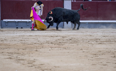 Man bullfighter dressed in bullfighting costume.