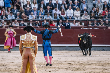 Man bullfighter dressed in bullfighting costume.