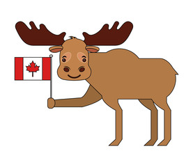 cute moose holding canadian flag