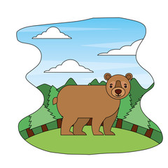 grizzly bear wildlife in forest landscape