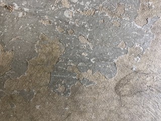 Painted concrete grunge texture 