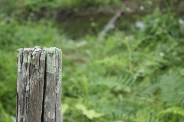 old wood fence on garden
