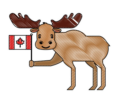 wild reindeer animal with flag canadian