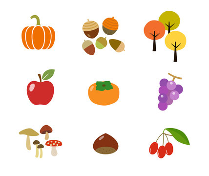 秋の果物・木の実アイコンセット