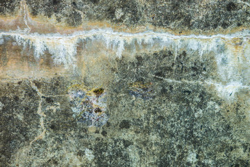 surface of concrete gray wall of a military fortress in cracks covered with moss