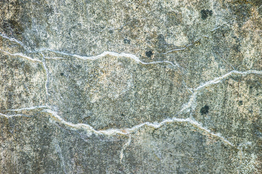 surface of concrete gray wall of a military fortress in cracks covered with moss