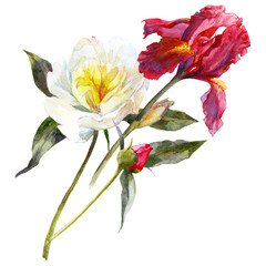 Isolated watercolor bouquet of peony and iris flower.