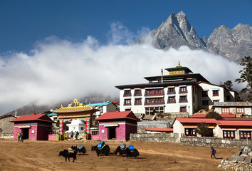 Tengboche Monastery, the best monastery in Khumbu