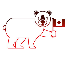 cute bear holding canadian flag