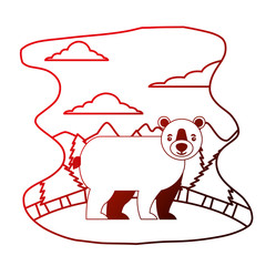 grizzly bear wildlife in forest landscape