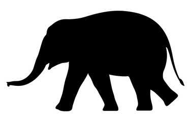 Silhouette elephant on white background. Vector illustration.