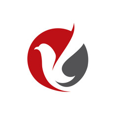 Bird Logo Template Design Vector