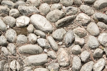 Texture of beige and gray stones on the ground. Grunge background.