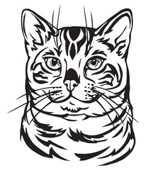 Fototapeta na wymiar Decorative portrait of Bengal Cat vector illustration
