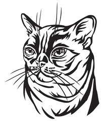Decorative portrait of Burmese Cat vector illustration
