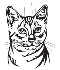 Fototapeta na wymiar Decorative portrait of Egyptian Mau Cat vector illustration