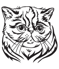Decorative portrait of Exotic Shorthair Cat vector illustration