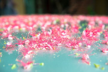 Red flowers on the floor