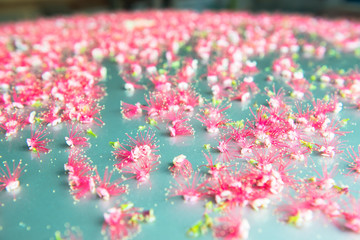 Red flowers on the floor