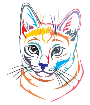 Colorful decorative portrait of Russian Blue cat vector illustration