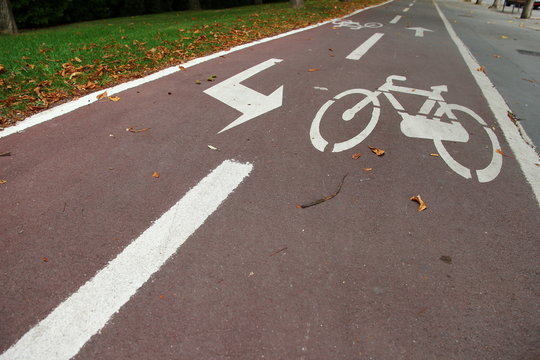 carril bici con dibujo de bicicleta y flechas en el suelo y césped alrededor