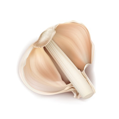 Vector 3d realistic illustration of garlic, half of bulb in peelings, isolated on background. Natural organic vegetable, agricultural root crop, spicy condiment, ingredient for eating and cooking