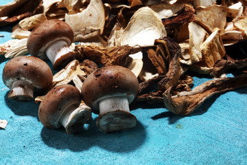 dried mushrooms on blue background.
