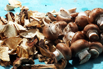 dried mushrooms on blue background.